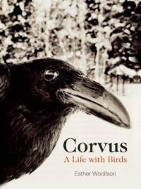 corvus-life-with-birds-esther-woolfson-hardcover-cover-art